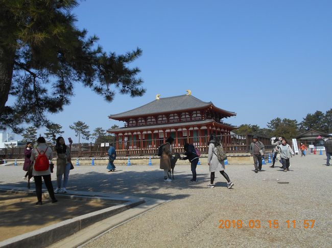 もう一度階段を上がって元のところに戻ると　中金堂を遠くから見るとどっしりとしていてとても素敵です。