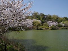 江川邸に向かう途中で城池親水公園を通りました。