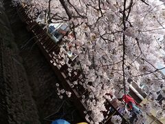 　余佐川の両側に桜が満開。人も大勢。キャラクターもいます。
