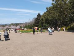 　京都府立植物園に到着。