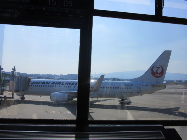 19大阪3家族旅行記 あべのハルカス 空港へ 大阪の旅行記 ブログ By タビードンさん フォートラベル