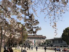 【上野公園】国立博物館
上野の桜を見たついでに「東寺展」を見に上野の国立博物館に行って来ました。ここの仏像展は光のあて方や空間の作り方がすごくて，お寺で実際に見るのとは違った楽しみ方ができます。最近では一カ所だけ撮影可能な場所があり，今回はイケメンで有名な東寺の帝釈天さまが撮影可能でした。博物館の裏の庭園も開放されていてここでも桜を楽しめました。また常設展のエリアでは桜を描いた浮世絵などが飾られていました。こちらは写真禁止のマークが出ていないものは撮影可能でした。