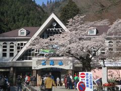 高尾山ケーブルカー駅前の桜も見ごろを迎えていました。