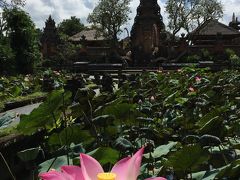 通りを抜けるとウォーターパレスの横に出てきます。蓮の花が開いていました。