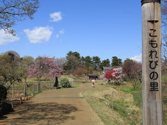 国営昭和記念公園