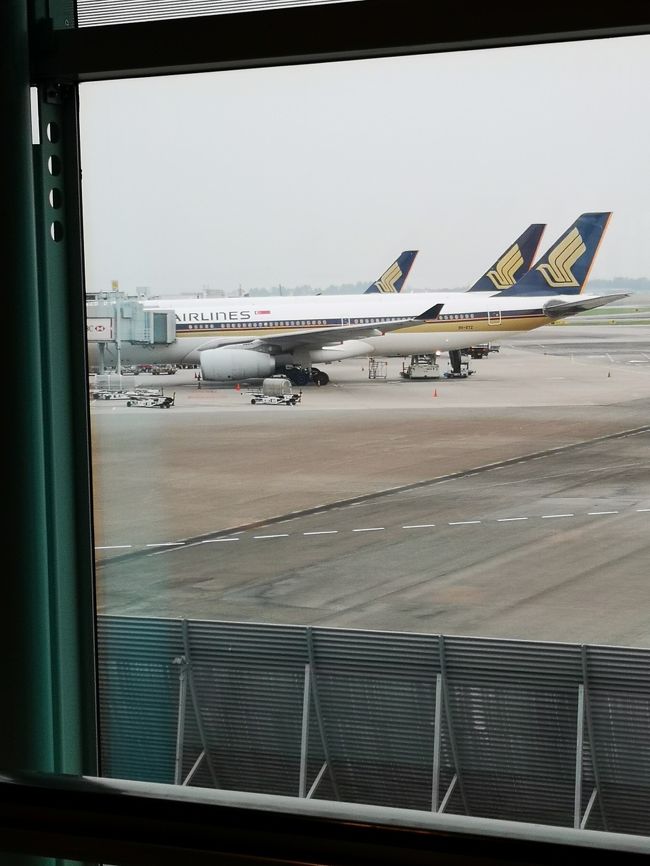 https://www.singaporeair.com<br />シンガポール　チャンギ空港での乗り換えは50分（爆）<br /><br />Ｔ３からＴ２へトラム移動するだけ簡単<br />連続３回目なので迷わない大丈夫っ<br />　多分(*^-^*)<br />
