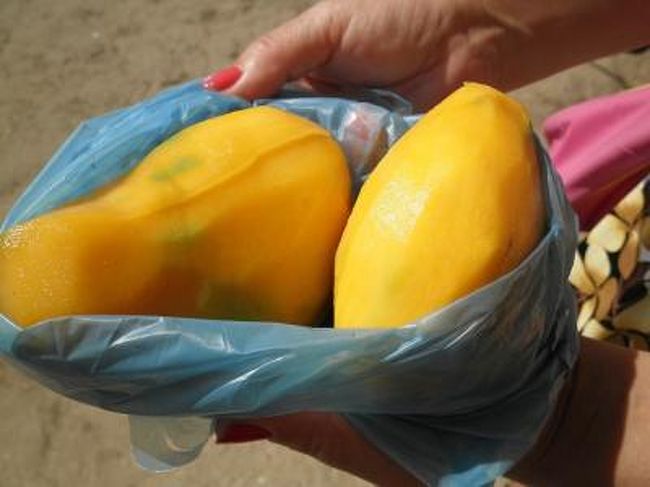 サヌールのビーチを散歩していると、<br />双子のおばちゃん（今はお婆さんに見える）の<br />果物売りさんに逢いませんか？<br />あたしは、そのおばちゃんに逢うとマンゴーを剥いてもらいます。<br />１個5000くらい（時価です）