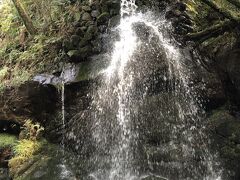 少し万葉公園内をうろつきました