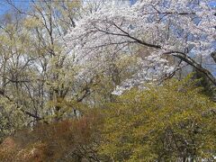 水道山公園