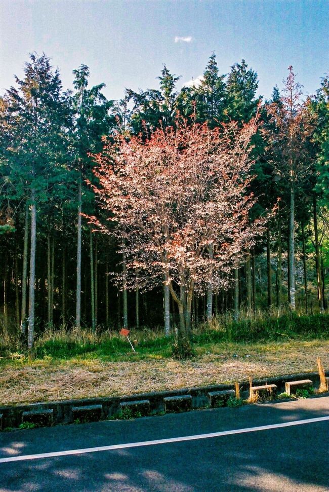 自宅　07：59　（ 0.0km・0.0km・0.0km/h ）<br />