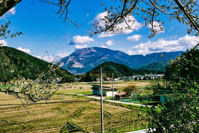 県下最高峰の伊吹山でもさすがに残雪はありません…。