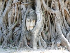 ワット・マハータートで一番有名なのが木の根に取り込まれた仏頭です。
この写真は仏頭部分をアップにしたもの。