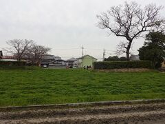 　次は訪ねたのは、本薬師寺跡だった。
　近辺に集落ができているが、田畑の広がる地域で、遺跡らしきものが見当たらない。
　「あっちに、何かありそう・・」
　「ここ、歩いていいのかな？」
　などと言いながら、あぜ道を進んでいくと、