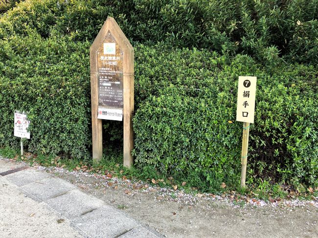 搦手口（からめてぐち）の虎口跡。搦手口とは大手口に対して置かれているものなので、〝裏口〟ですね。