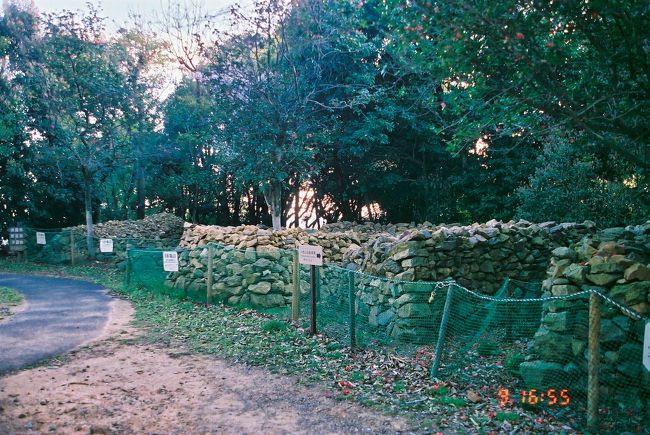 発掘で見つかった裏込石（石垣の裏に入っていた石）。