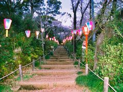 大手道は城のに続く道でもあり、小牧山の登山のメインルートでもありました。