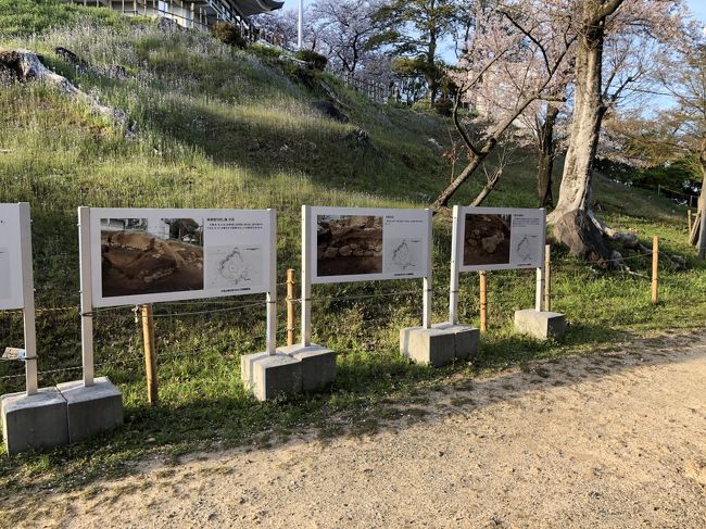 小牧山城の発掘の様子。