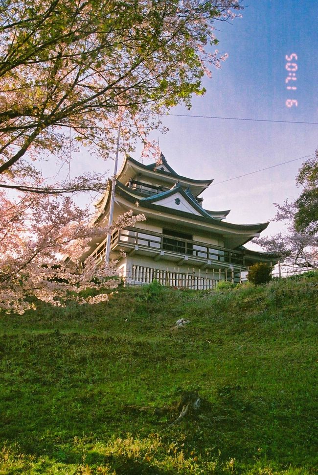 微妙に飛び出ている石は実は石垣だという事実…。