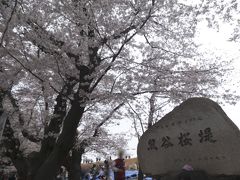 熊谷桜堤