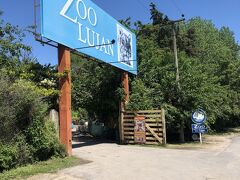 やっとの事でルハン動物園到着！！
これがあの待ちに待った動物園かー！！
なんかまだ日本の裏側にいるのが信じられない、、