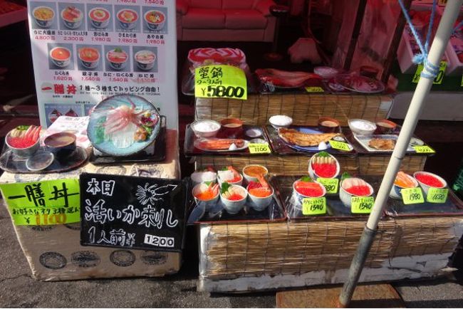 　活イカ刺。サンプルの盛りつけを見ると、これはイカの耳や体を刺身にした上に、残った顔とゲソを載せて、そこに醤油を垂らして狂おしく１０本の足をくねらせて断末魔のもがき苦しむ様を楽しむ、極めて日本的な残虐な料理ですな。<br /><br />（　´・д・）遊んで(?)みたいけど、高いなぁ。