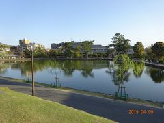 猿沢の池ですが、思っていた印象とは違い随分小さな池でした