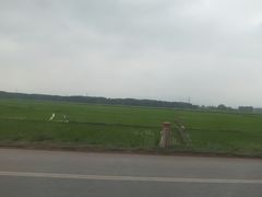 　昨夜ホテルにチェックインしました。英語でOK.
　私たちは８階、朝ごはんは９階に。
　従業員のかたは笑顔で挨拶をしてくれます。
　オムレツを頼んで、朝ごはんのビュッフェをいただきます。
　女性が特によく働きます。アジアの特徴かな。
　準備してロビーでタクシーを待ちます。
　
　
　