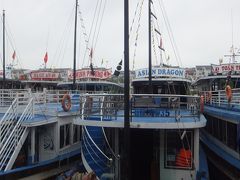 　結局３０分ぐらいお土産やさんや、刺繍のタペストリーとか、絵の実演を見たりしていました。マンゴーの生を買って食べたり。
　運転手の顔忘れたという相方に私は覚えてるから大丈夫と言ってると、そこに若い運転手が現れました。そうこの人！
　また同じ車に乗車して走り出しました。
　それからも１時間ぐらい走ってやっとハロンの看板が出てきました。
　一旦駐車場にとまり、ツアーのバスを待ちますが、来ませんね。
　電話で確認しているようです。１０分待ってとのこと。
　そこから少しまた走って、やっとごったがえした人混みの集合場所らしいところでツアーの案内人に引き合わされました。やれやれです。