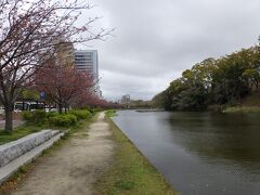 大濠公園駅から福岡城址へ。お堀沿いは八重桜が咲き始めていました。