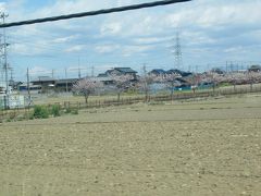 こちらは東北本線（宇都宮線）を北上。
沿線には桜。