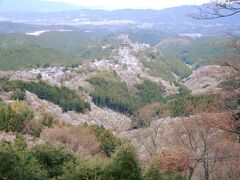 花矢倉展望台から観る吉野山全景☆

今日4/12の時点で 下千本は散り始め。中千本は満開。上千本は三部咲き