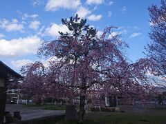 川を渡って、南郷公園