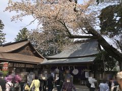 秀吉が花見の本陣にしたとされる吉水神社。
ということを後から知りました。
もう少し勉強してから行くべきでした。
