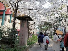 交差点を渡ると花のみち