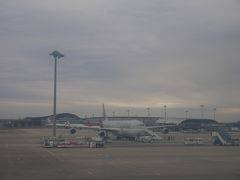 関空到着はちょっとだけ予定より早かった。
外国人の入国審査は相変わらず長蛇の列だけど日本人はガラガラ。
なので機内でもらったファストレーンチケットも使わず。
荷物も2番目に出てきたし、Wi-Fiルーターも忘れずに返却完了。

最後まで読んで頂いてありがとうございました。