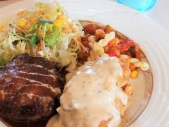 まずはレンタカーで、宮崎と言えばチキン南蛮。美味しいレストランへGo。
ハンバーグもふわふわジューシーでした。

・赤ずきんスペシャルセット　1,530円