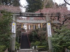 東北大学等を経由して最期に向かったのは大崎八幡宮。
伊達政宗により造営された。

http://datebunka.jp/cp/10/

この鳥居は県の重要文化財