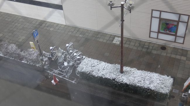 おはようございます。<br /><br />明けて、24日です。<br /><br />雪じゃねえか、おい！！<br />いつのまに降ったんだ？<br /><br />油断してましたがまだ冬は終わっていないんですね。