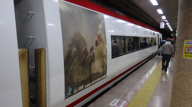 温泉に浸かる猿がラッピングされていた。<br />まさにスノーモンキー。