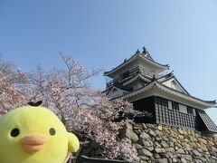 おはようございます。
朝一で浜松城に来ました