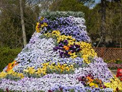 花の文化園、エントランスの　花の塔♪

大阪府立「花の文化園」
月曜＝休園（祝祭日はオープン）　　9:30　～　17:00
大人　540円　　　中学生以下　無料

　