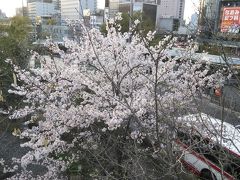 １泊目は岐阜に泊まりました。

別に花見に行こうと思ったわけではありませんが、いろんなところで桜がきれいでした。