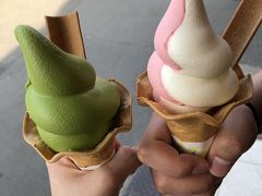 その前に本家西尾八ツ橋でソフトクリーム♪

私は京都抹茶、夫はいちごのミックス。
抹茶の方が美味しかったかな。
刺さってる八ツ橋がめっちゃ美味しい^ ^