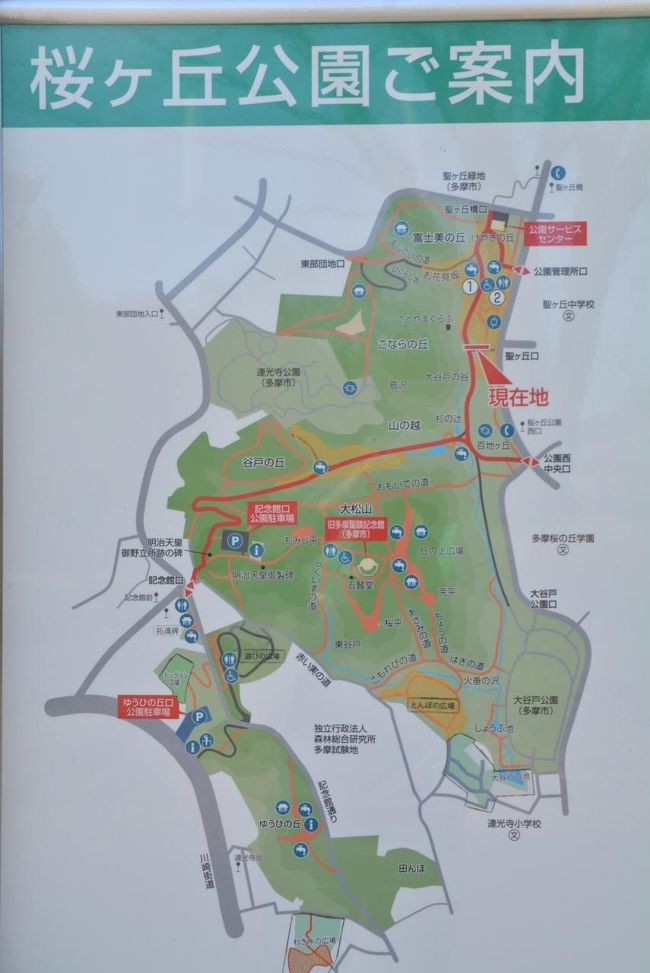 東京散歩 乞田川から都立桜ケ岡公園を抜け永山の10月桜の並木道を歩きました 東京の旅行記 ブログ By しろくまクンクンさん フォートラベル 東京散歩 乞田川から都立桜ケ岡公園を抜け永山の10月桜の並木道を歩きました 東京の旅行記 ブログ By しろくまクンクンさん フォートラベル