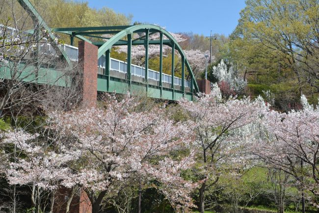 東京散歩 乞田川から都立桜ケ岡公園を抜け永山の10月桜の並木道を歩きました 東京の旅行記 ブログ By しろくまクンクンさん フォートラベル 東京散歩 乞田川から都立桜ケ岡公園を抜け永山の10月桜の並木道を歩きました 東京の旅行記 ブログ By しろくまクンクンさん フォートラベル