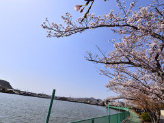 おがせ池は、周囲約2キロの農業用のため池ですが、
池の中央には八大龍王が祀られ、
様々な伝説も持ち、鯉がたくさんいます。
特に”鯉・亀”は神の使いとして崇められ保護されている。
