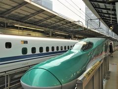 神奈川の自宅を出て東京駅にやって来た。

荷物は2～3泊用のスーツケース２つとボストン型のエコバック。
南から北まで行くので、着替えに水着に防寒着、そしてオムツで結構かさばりました。

なんで私たち子連れでこんなバカな旅するんだろうね…？
（飛行機沢山乗れるし面白そうだと思ってしまったから仕方ない。）