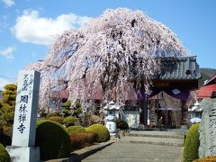 周林禅寺。