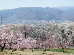 はなもも。
ここも素晴らしい。