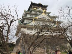 食事後、近鉄布施駅から鶴橋乗換でJR環状線に乗車する。
鶴橋駅、特に西口付近、まだ、古い大阪が感じられて・・・
（インパクトがあって・・・写真撮るの忘れた）、あそこは異次元か？
その後、環状線に乗り大阪城公園駅へ。
下車後、公園を散策しながら大阪城天守閣へ行ってみる。